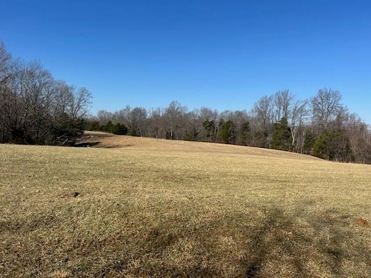 709 PHILLIP WHITLOW RD, SUMMER SHADE, KY 42166 - Image 2dc5da10b8337974e6fcda78d068d39e/3604072143