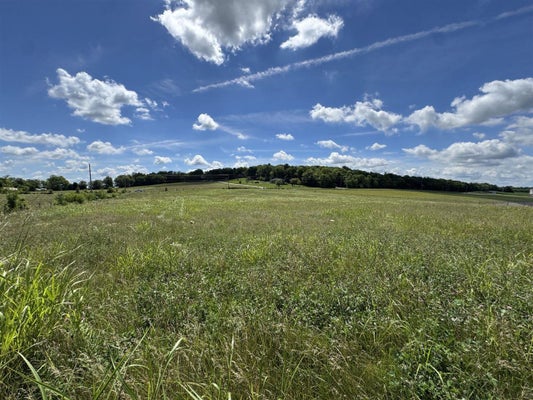 1117 OLD GLASGOW RD, HORSE CAVE, KY 42749 - Image 2e093f7edf0d3bd2a048e7303cd77a5a/2970401916