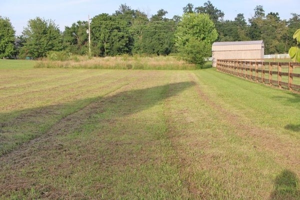 400 BARREN RIVER DAM RD, SCOTTSVILLE, KY 42164 - Image 2eed4ee233ba4f98da91b9f427dfd18a/953394134