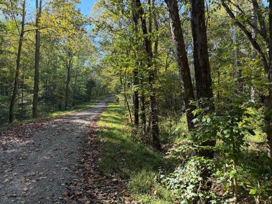 0 G CARDWELL ROAD SOUTH, MORGANTOWN, KY 42261 - Image 2fae59399e6b2d3e0bfc09f95146cbf7/1746291819