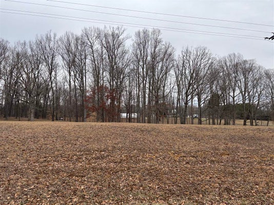 5300 BOWLING GREEN RD, SCOTTSVILLE, KY 42164 - Image 4266bfdb9728e7fd2b731f98bdfbb420/2725613348