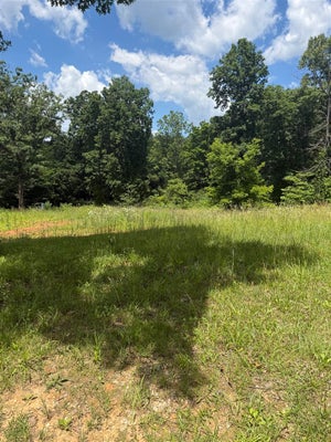 PIG RD, SMITHS GROVE, KY 42171 - Image 67fbb614f19a3622b6f4e1fab8376282/2535803150
