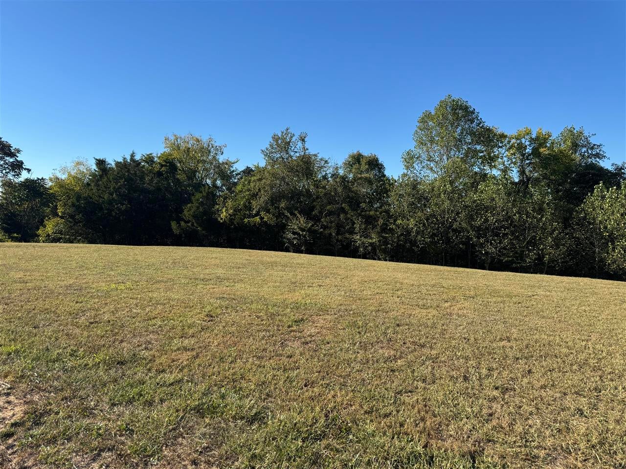 188 Phoenix Drive - Photo 4