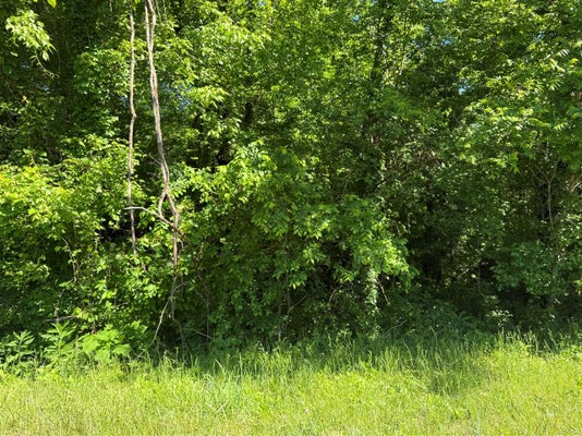 BOATMAN RD, SMITHS GROVE, KY 42171 - Image 7e17c708a496af9ae5fa424c1b2742e7/1756589825