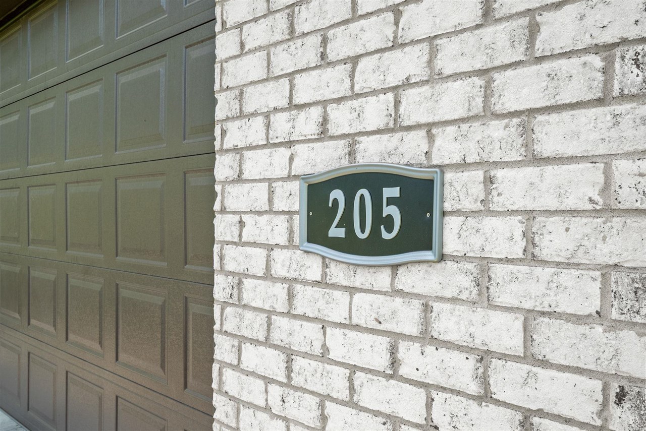 205 Dew Drop Drive - Photo 4