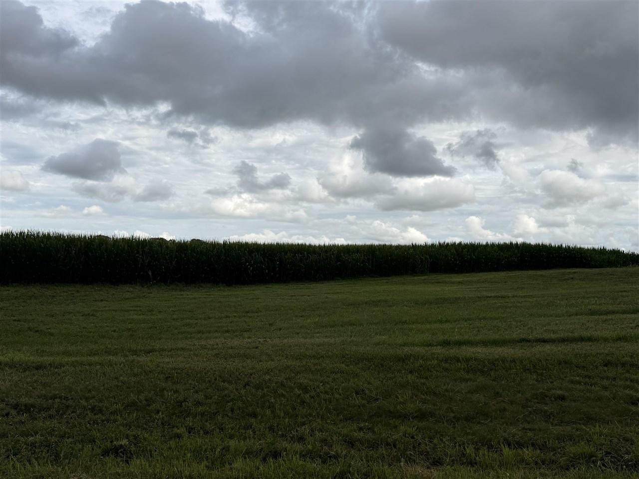 Photo 1 of 1 — 00 Lake Spring Road, Franklin, KY 42134