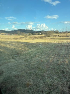LONDON PACE SINK RD, HORSE CAVE, KY 42749 - Image 8e1b6163f5eb0533a10e43d3dfb45e6b/2019456612