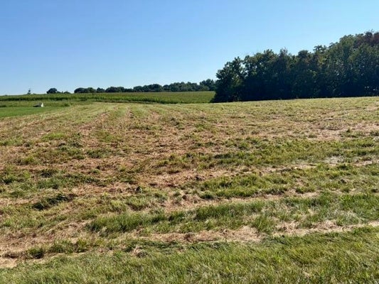 EMERALD LN, CAMPBELLSVILLE, KY 42718 - Image c29ea4d0c2c16ba011252b3ca7e60b75/861095456