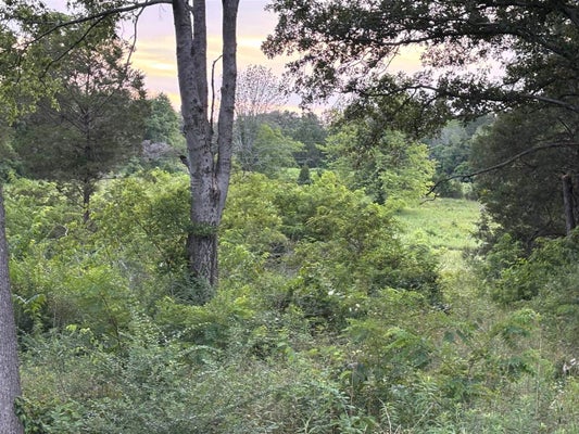 PIG RD, SMITHS GROVE, KY 42171 - Image c4e0d9cd18ead042eaa7164c1bf676c6/2972492800