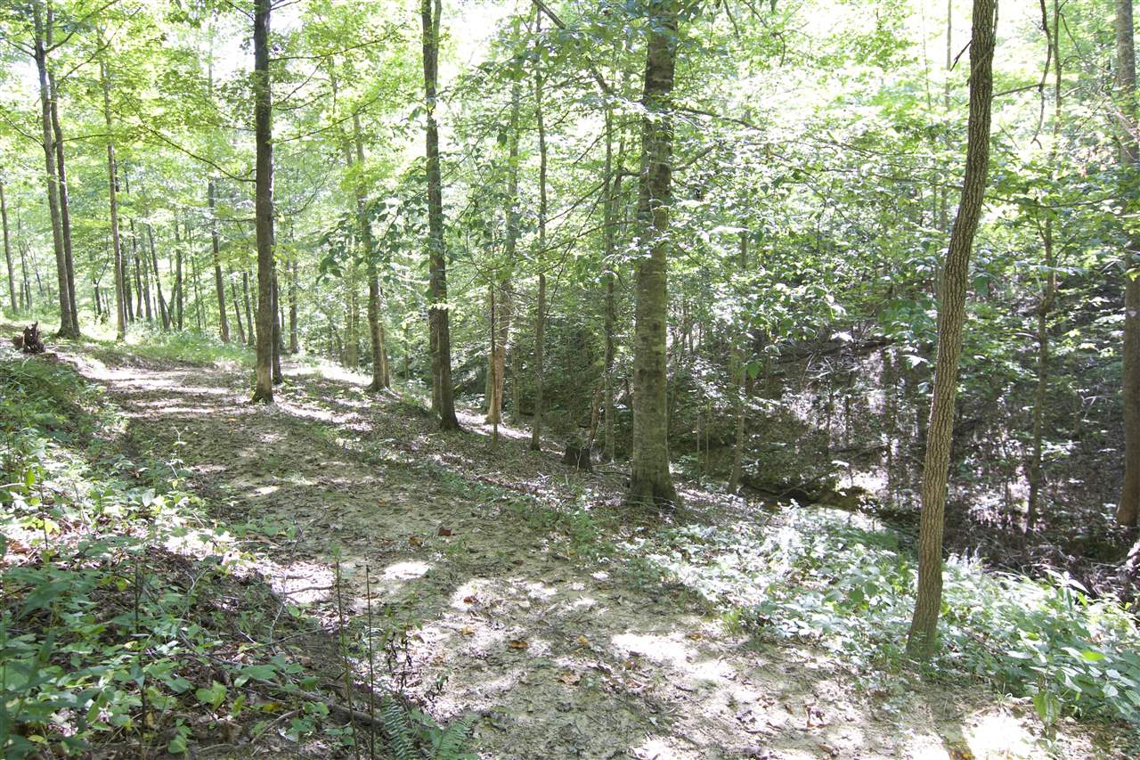 Edmonton, Kentucky 42129, United States, 2 Bedrooms Bedrooms, ,1 BathroomBathrooms,Residential,Active,46470