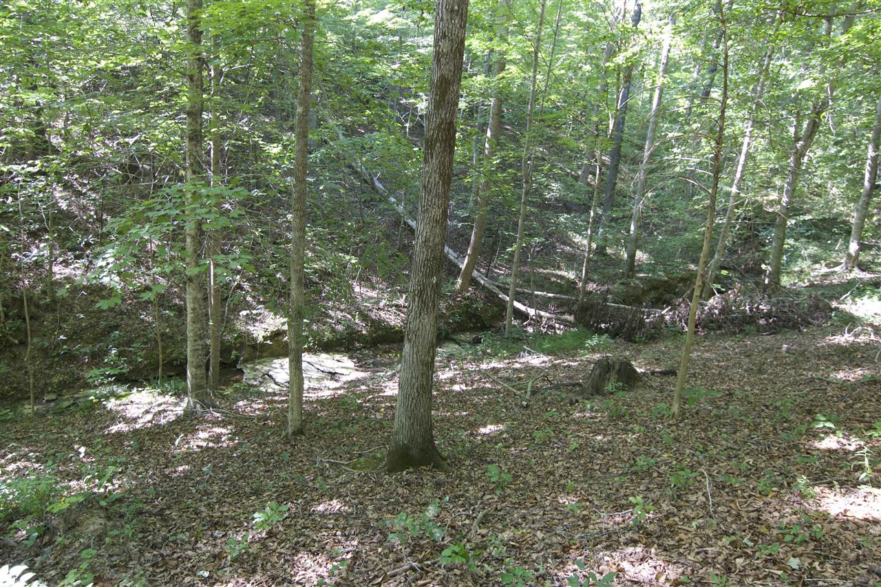 Edmonton, Kentucky 42129, United States, 2 Bedrooms Bedrooms, ,1 BathroomBathrooms,Residential,Active,46470