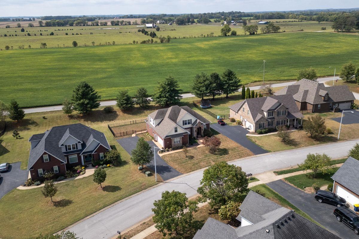 392 Roseberry Circle - Photo 4