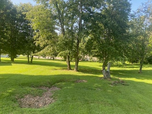 105 PARADISE ST, GREENVILLE, KY 42345 - Image d33066020ad75edd9250013eb2fb207c/3238558991