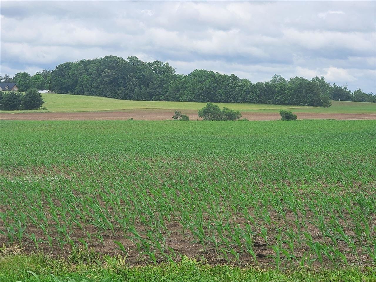 Photo 1 of 10 — 00 Witt Road, Franklin, KY 42134