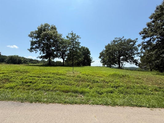 1 GAINESVILLE PORT OLIVER RD, SCOTTSVILLE, KY 42164 - Image f2dbc85e6b2cb3bf4f368070b4227b51/257748467