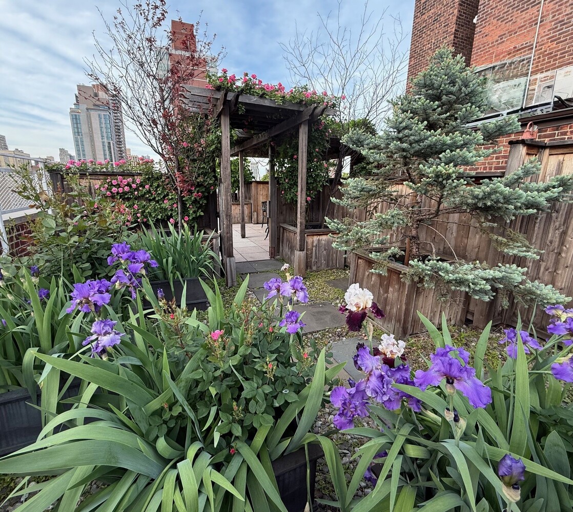 New York City, New York 10021, United States, 2 Bedrooms Bedrooms, ,1 BathroomBathrooms,Residential,Active,166011