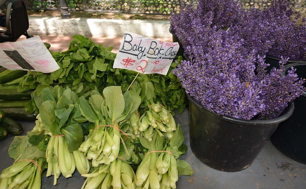 New York City, New York 10007, United States, ,1 BathroomBathrooms,Residential,Active,180564