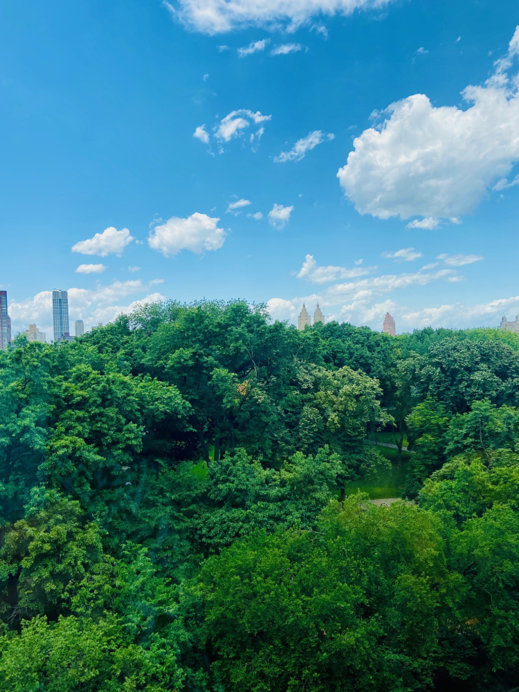 New York City, New York 10065, United States, 2 Bedrooms Bedrooms, ,3 BathroomsBathrooms,Residential,Active,79020