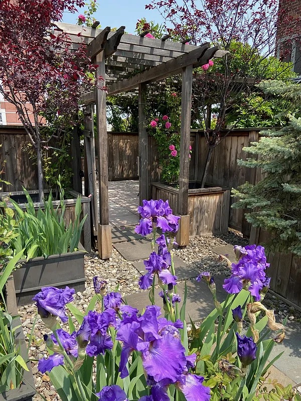 New York City, New York 10021, United States, 2 Bedrooms Bedrooms, ,1 BathroomBathrooms,Residential,Active,79024