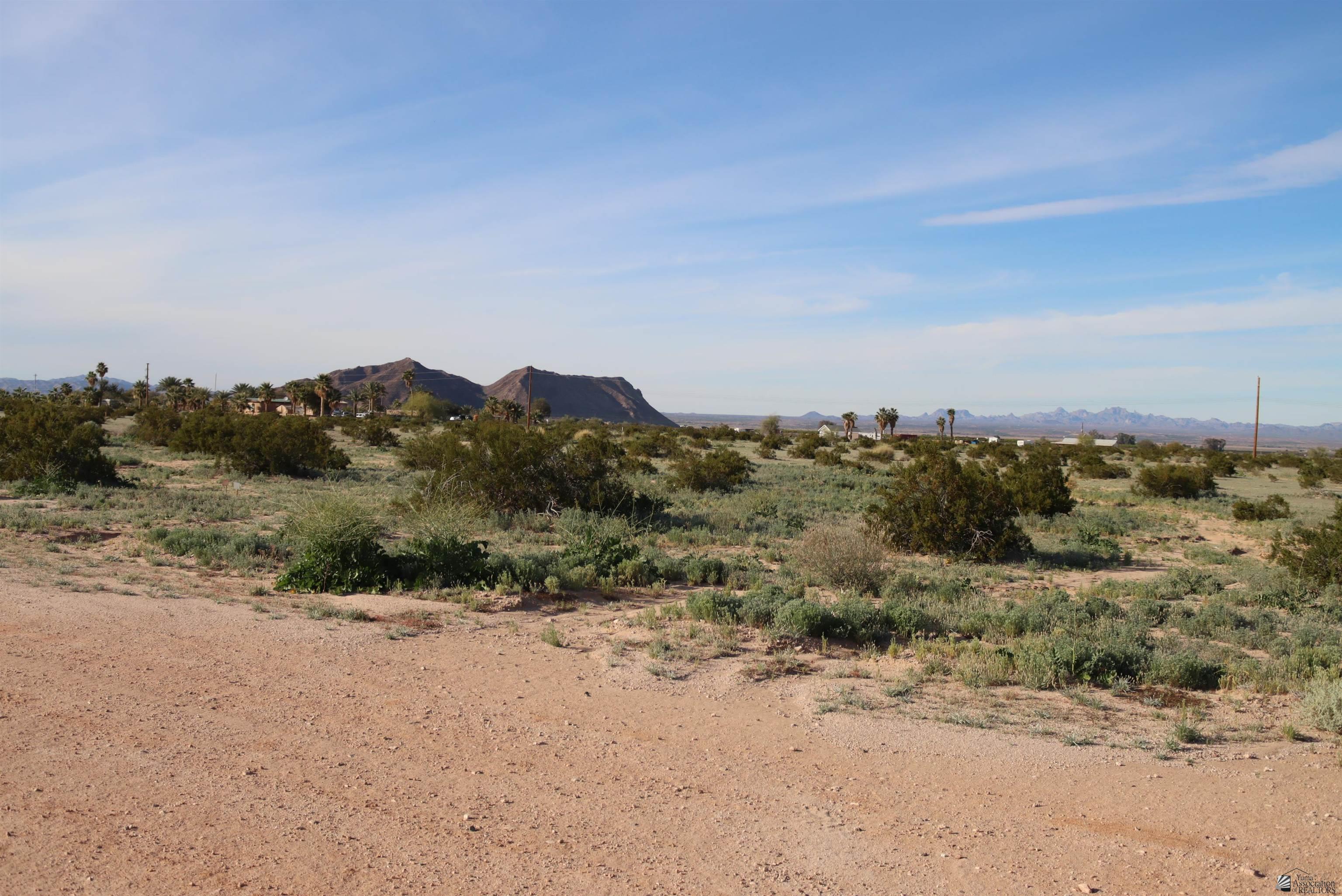 Photo 1 of 10 — 37818 Gold Dust Dr, Wellton, AZ 85356