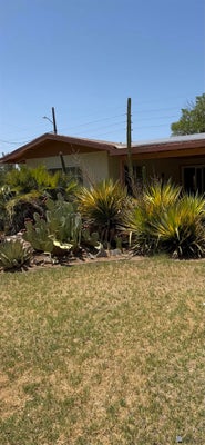 16555 S AVENUE A 1/2, SOMERTON, AZ 85350 - Image b9d37b84e20e4c567459250b97a00e21/3197405726