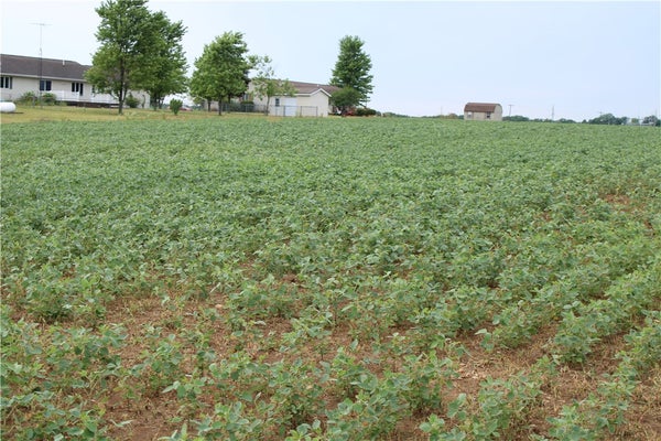 9 GREEN ACRES ST, SHELBYVILLE, IL 62565 - Image 5eb0e9c6b1e9e9af3b1192d17d2ce02f/1154536761