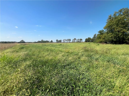 21103 N 2180TH ST, MARSHALL, IL 62441 - Image b3b7cba7fabdfbedd4c664656b79e72e/3659372076