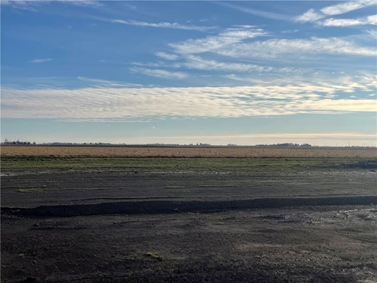 LOT 12 BAXMEYER LANE, ASSUMPTION, IL 62510 - Image e58adfa7dcdfda65a5cd9f45e25693f7/3336745329