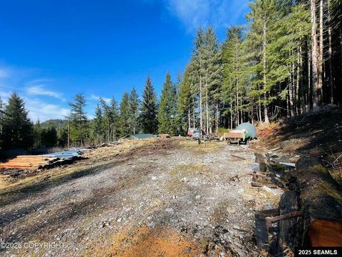 Photo of L2B9 Huckleberry Drive, Naukati Bay, AK 99950 (MLS # 25387)