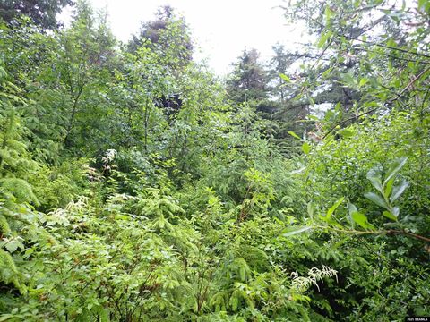 Photo of Lot 3C Killisnoo Road #Lot 3C Kanalku View, Angoon, AK 99820 (MLS # 25901)