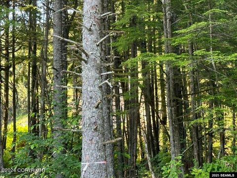 Photo of L16 & L17 Evergreen Avenue, Wrangell, AK 99929 (MLS # 25156)