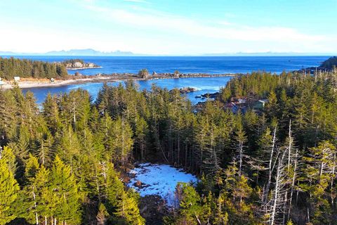 Photo of Legal Address Only #Lot 8, Block 4, Trac, Port Alexander, AK 99836 (MLS # 260318)