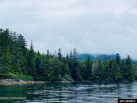Photo of Legal Address Only #Lot 4, Parcel E, US, Naukati Bay, AK 99921 (MLS # 25675)