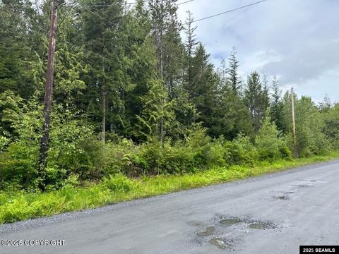 Photo of 612 Council Drive, Wrangell, AK 99929 (MLS # 25374)