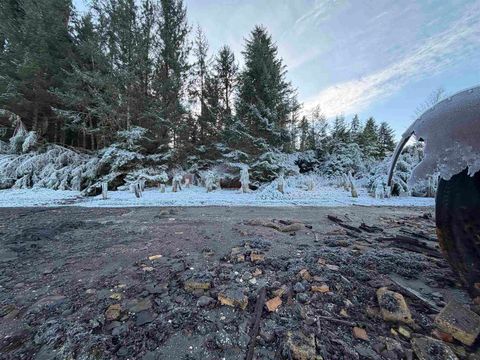 Photo of Lot 1 CRM Legal Address Only #Kuiu Island, Thorne Bay, AK 99000 (MLS # 260081)