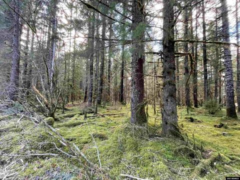 Photo of Legal Address Only #Lot 8, Block B, Pine, Gustavus, AK 99836 (MLS # 25453)