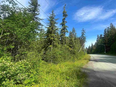 Photo of 20165 Glacier Highway, Juneau, AK 99801 (MLS # 260076)