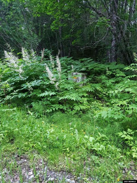 Photo of nhn Skedadle Road #Lot 10 North Chilkat, Haines, AK 99827 (MLS # 25759)