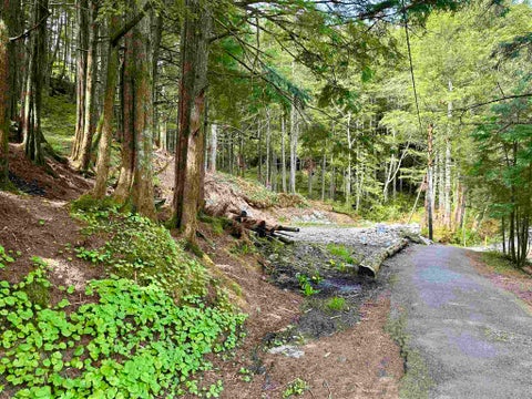 Photo of 835 Harris Street, Ketchikan, AK 99901 (MLS # 22824)