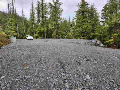 Photo of NHN Waterfall Road, Ketchikan, AK 99901 (MLS # 260188)