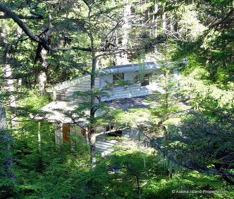 Photo of NHN Tract D-R Long Island, Sitka, AK 99835 (MLS # 260686)