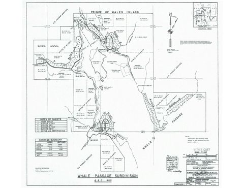 Photo of NHN Legal Address Only #LOT 13 BLOCK 9, Whale Pass, AK 99950 (MLS # 260233)