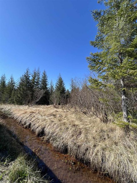 Photo of NHN Rink Creek Road, Gustavus, AK 99826 (MLS # 260386)