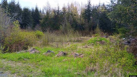 Photo of NHN Sawmill Creek Road #USS 785 Lots 11A&11B, Haines, AK 99801 (MLS # 25534)