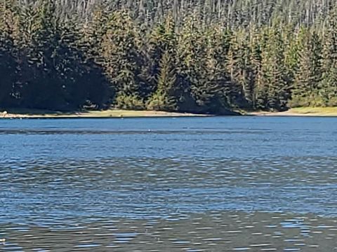 Photo of Lot 12 Wrangell Legal Address Only, Petersburg, AK 88833 (MLS # 260259)