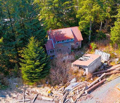 Photo of Legal Address Only #Lot 4 & Lot 5, Block, Port Alexander, AK 99836 (MLS # 260319)