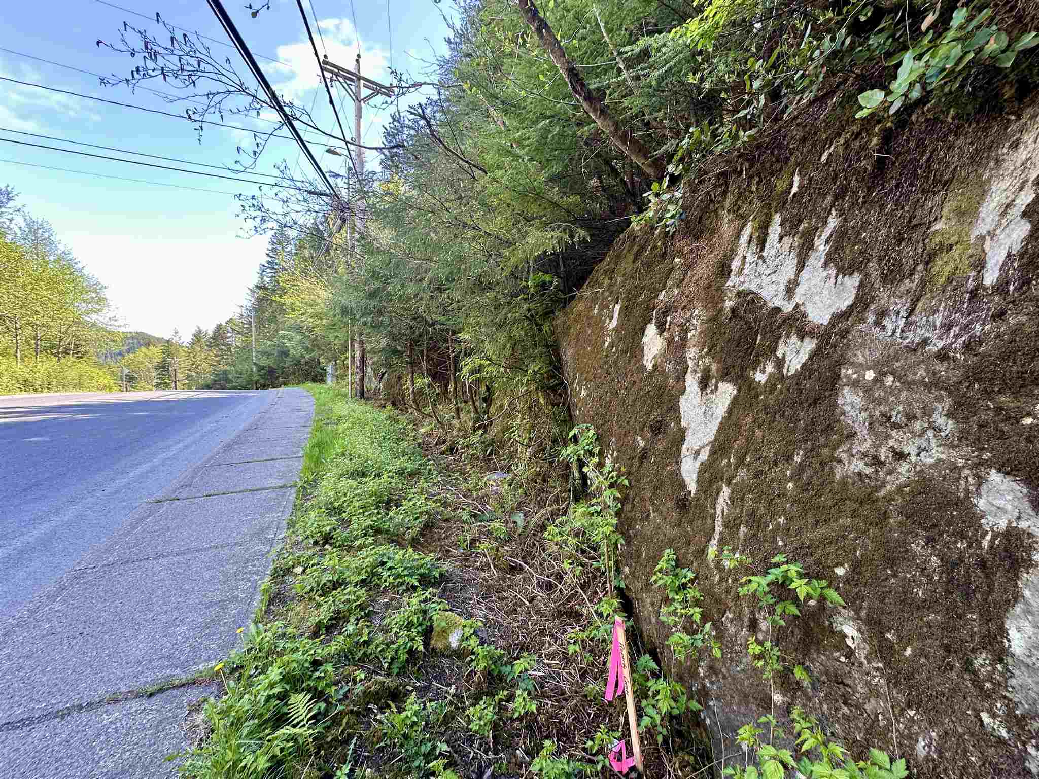 000 Forest Avenue Lot 5