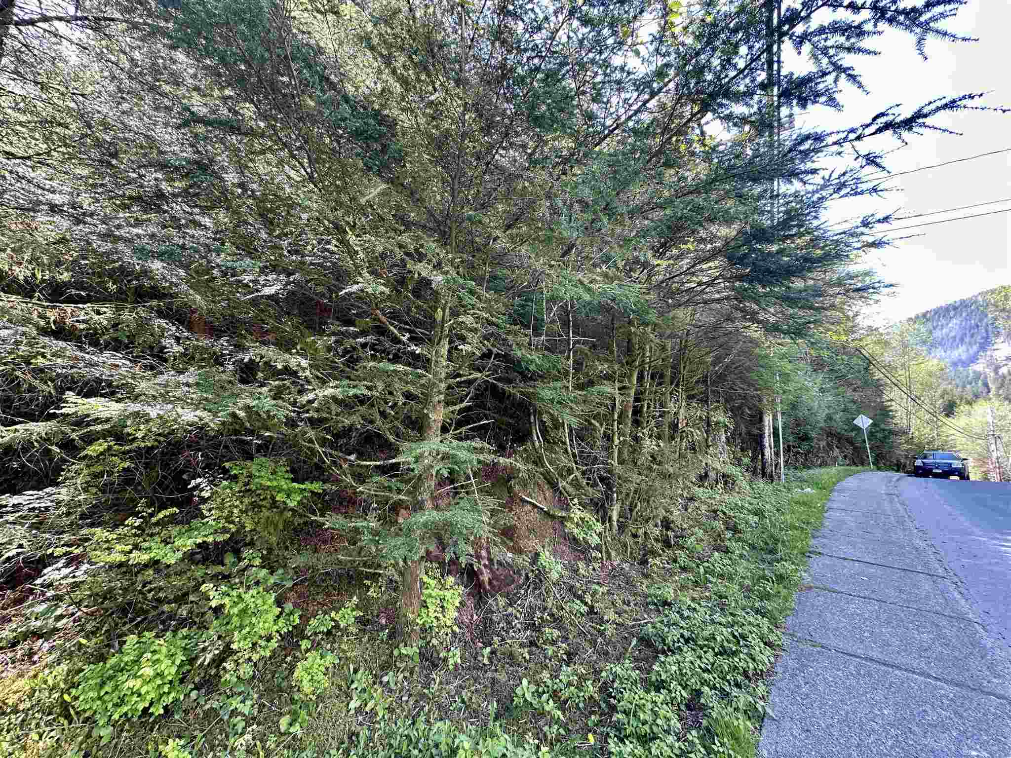 000 Forest Avenue Lot 5