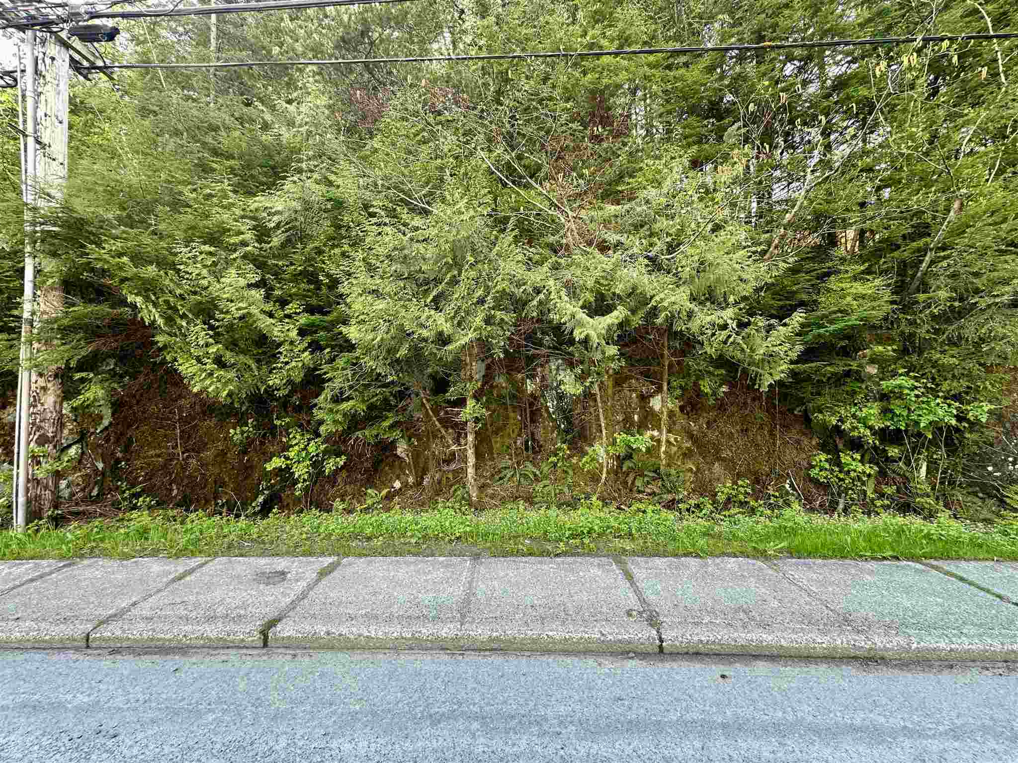 000 Forest Avenue Lot 5