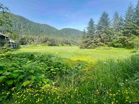 Photo of 0 National Park Service Rd, Juneau, AK 99801 (MLS # 25624)